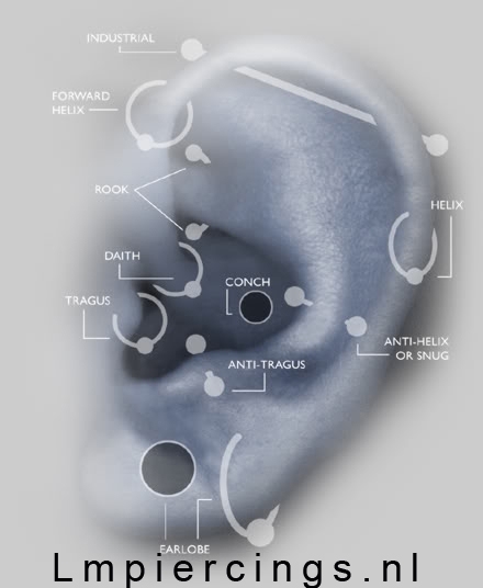 Een oor vol piercings