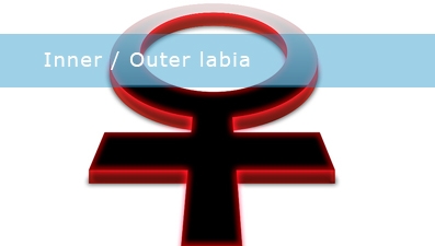 Intieme piercings inner / outer labia