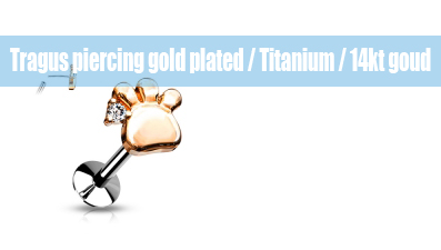 Tragus piercings gold plated