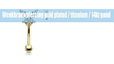 Wenkbrauwpiercings gold plated / titanium
