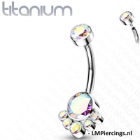 Piercing titanium cluster CZ bezel multi kleur