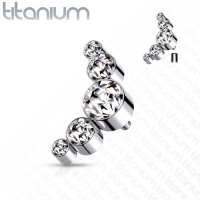 Dermal top titanium 5 rondjes wit 1.2mm