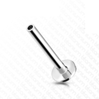 Titanium push in staafje 1.2x12mm