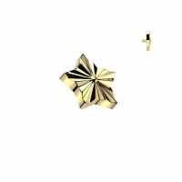 Dermal top ster gegraveerd 1.6mm goud