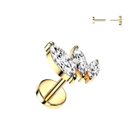 Piercing push in marquise 0.8X6mm goud