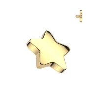 Dermal top 4 mm ster egaal goud 1.6mm