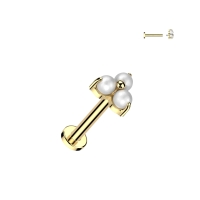 Titanium pearl prong 1.2x6 goud