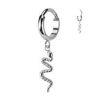 Oorbellen titanium met slang hangertje