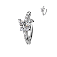 Piercing clicker front vlinder