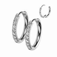 Oorbellen titanium steentjes 12mm