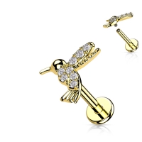 CZ Paved Hummingbird