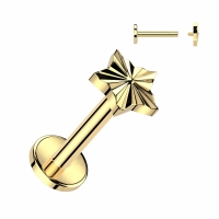 Piercing titanium ster top diamant cut