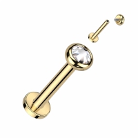 Piercing titanium flat bezel intern schroefdraad