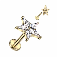 Piercing titanium top ster intern schroefdraad