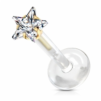 Retainer piercing ster