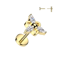 Piercing titanium steen center marquise push in