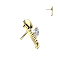 Piercing titanium roosje push in