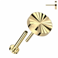 Piercing titanium gegraveerd rondje push in