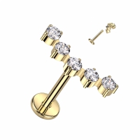 Piercing titanium 5 gemmed ronde top