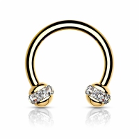 Piercing PVD horseshoe rond met steen