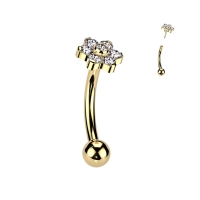 Piercing titanium curved bloem