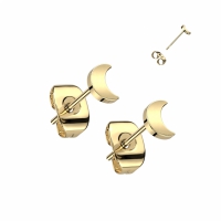 Oorbellen titanium plat maantje 0.8
