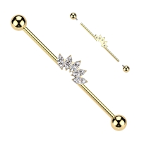 Industrial piercing titanium 5 Marquise fan