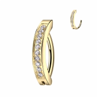 Piercing ovaal strak design met steentjes