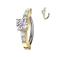 Piercing ovaal steentjes met center hartje