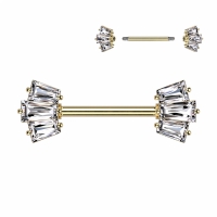 Tepelpiercing PVD 5 Baguette set crown ends 1.6x14