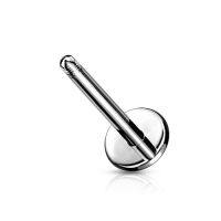 Staafje chirurgisch staal stud extern 1.2