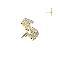 Dollar TOP - Titanium - Threadless Push In