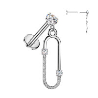 Oorbellen PVD CZ Geaccentueerde ovaal hanger