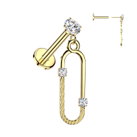 Oorbellen PVD CZ Geaccentueerde ovaal hanger